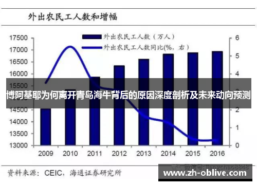 博阿基耶为何离开青岛海牛背后的原因深度剖析及未来动向预测